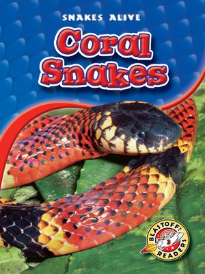 cover image of Coral Snakes